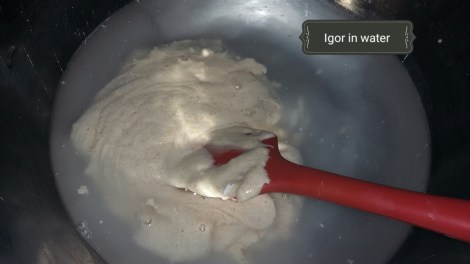 2017-07-23_11.30.36[1]