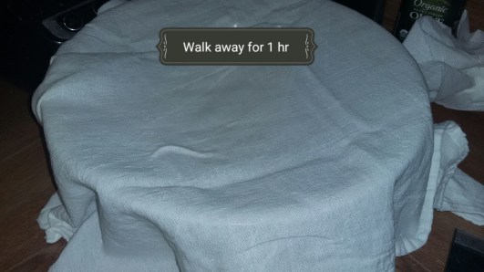 2017-07-23_11.35.02[1]