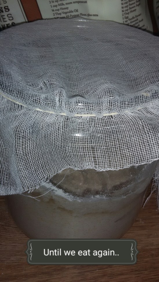 2017-07-23_11.42.48[1]